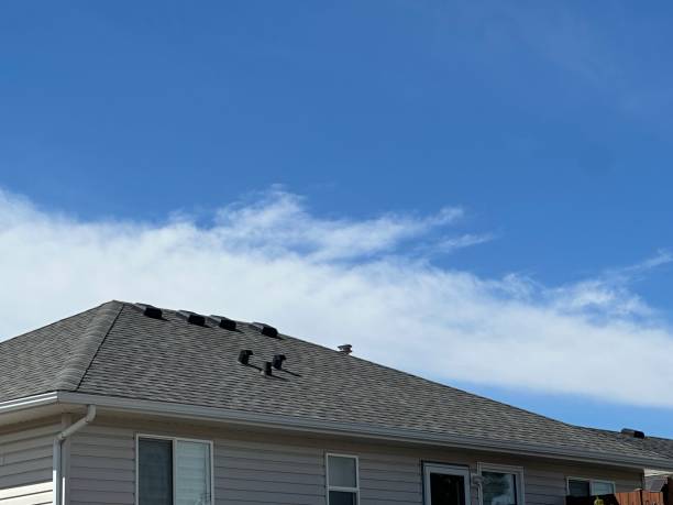 Best Flat Roofing  in College Park, MD